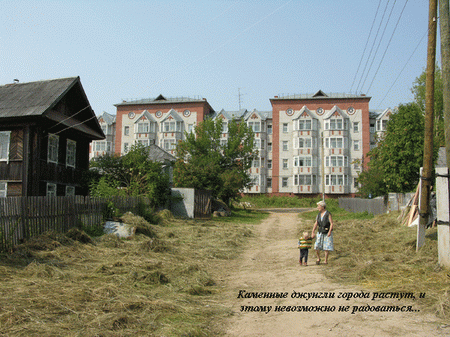 Каменные джунгли: время роста